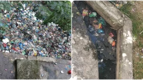 মশার উপদ্রবে অতিষ্ঠ সিকৃবির শিক্ষার্থীরা