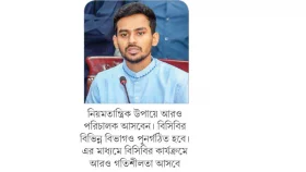 জোড়াতালির বিসিবিতে গতির আশা