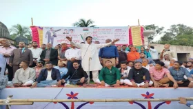 জনগণ নির্বাচন নিয়ে সরকারের অন্তরের কথা জানতে চায়: আজিজুল বারী