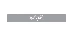 পুলিশের সোর্স পরিচয়ে চাঁদাবাজি