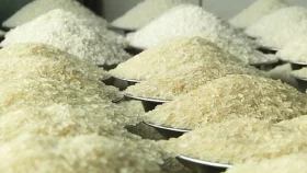 ভারত থেকে ৫০ হাজার টন চাল আমদানির অনুমতি