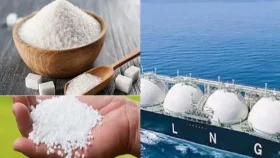 এলএনজি-সার-চাল সংগ্রহ করবে সরকার