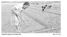 আলুর বীজ-সারের মূল্যবৃদ্ধি সিন্ডিকেটে বিপাকে কৃষক