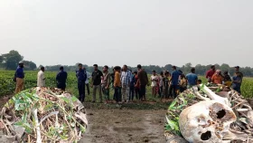 ঘাস কাটতে গিয়ে নিখোঁজ, ৫ মাস পর &lsquo;বৃদ্ধার কঙ্কাল&rsquo; উদ্ধার