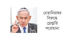 আইসিসির সিদ্ধান্ত মানবে বহুদেশ