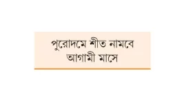 তাপমাত্রা নয় কুয়াশা বাড়াবে শীত
