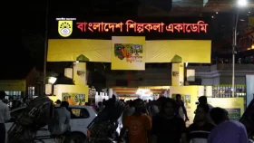 শিল্পকলায় আলাদা &lsquo;চলচ্চিত্র&rsquo; বিভাগ চেয়ে ১৭৫ নাগরিকের বিবৃতি&nbsp;