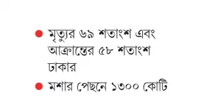 নিধনে ব্যর্থতায় বর্ষার ডেঙ্গু শীতেও