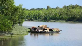 সুন্দরবনবিষয়ক আলাদা মন্ত্রণালয় গঠনের দাবি