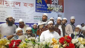 আলেম সমাজ ক্ষমতায় গেলে দানব হবে না: মামুনুল হক