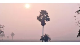 শীত ইবাদতের বসন্তকাল