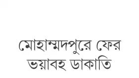 অস্ত্রের মুখে জিম্মি করে লুটে নেয় সব
