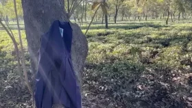 গাছে গাছে ঝুলছে মেয়েদের স্কুল ইউনিফর্ম, নেপথ্যে কী