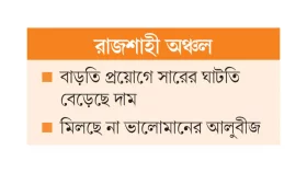 বীজ-সার সংকটে আলুচাষিরা