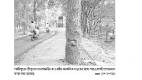 গাছ-খুঁটি রেখেই সড়ক প্রশস্তকরণ&nbsp;&nbsp;