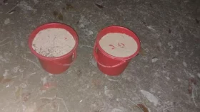 কবরস্থানে মিলল হাতবোমা