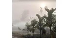 যে কারণে শীতকাল গুরুত্বপূর্ণ
