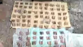 নোয়াখালীতে থানা থেকে লুট হওয়া ৫৭৬টি বুলেট উদ্ধার