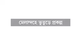 কাজ না করে টাকা আত্মসাৎ