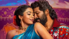 কেন জনপ্রিয়তার শীর্ষে ‘পুষ্পা ২: দ্য রুল’?