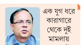 ভাগ্যের দুয়ার খুলছে না রফিকুল আমীনের