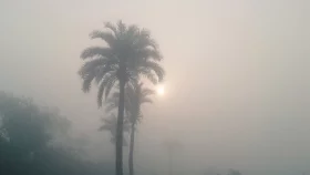 জানুয়ারিতে ৩ ডিগ্রিতে নামতে পারে তাপমাত্রা