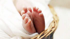 শহীদ মিনারের পাশে পড়ে থাকা নবজাতক নিয়ে টানাটানি করছিল কুকুর