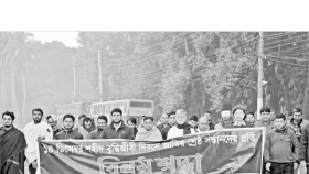শহীদ বুদ্ধিজীবী দিবস পালিত