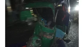 শিয়াল দেখে নিয়ন্ত্রণ হারাল সিএনজি, চালক নিহত