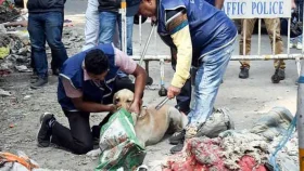 প্রেমে রাজি না হওয়ায় শ্যালিকাকে তিন টুকরা করলেন দুলাভাই