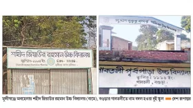 জিয়া নামে যত যন্ত্রণা