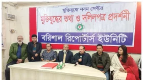 নির্বাচনের রোডম্যাপ জরুরি: সরোয়ার