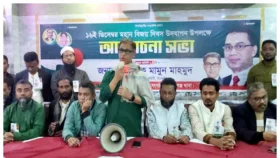 অনির্বাচিত সরকারকে দীর্ঘদিন ক্ষমতায় দেখতে রক্ত দেইনি:মামুন মাহমুদ
