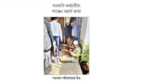 ক্যাডার কর্মকর্তাদের এ কী আচরণ!