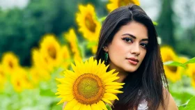 পরের সিনেমায় আরও চমক আছে