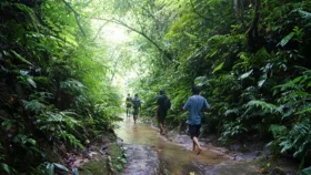 সাফারি পার্কের সেই প্রকল্প বাতিল