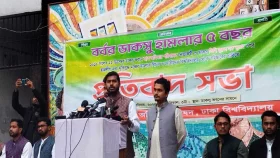 অন্তর্বর্তী সরকার দুই বছর থাকুক: নুর