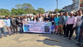 'হাসিনা সরকার ক্ষমতা দীর্ঘায়িত করতে জুলাই-আগস্টে গণহত্যা চালিয়েছিল'