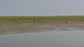 যমুনায় বালু মহালের নামে আবাদি জমি ইজারা নেওয়ার পাঁয়তারা