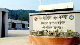 বাংলাদেশি ১৩ যুবককে আটকের কথা স্বীকার করল বিএসএফ