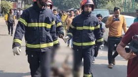 সচিবালয়ের ৮ তলায় কুকুর উঠল কীভাবে?