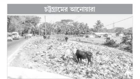 সড়ক ঘেঁষে ময়লার স্তূপ বেড়েছে মশার উৎপাত