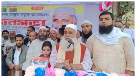 আ.লীগ পালানোর সময় পাইছে, বিএনপি&nbsp;সেটাও পাবে না: মনিরুল হক চৌধুরী