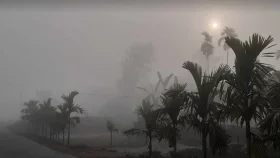 বছরের প্রথম দিন যেমন থাকবে আবহাওয়া