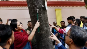 আতশবাজি ও পটকা না ফোটানোর আহ্বান পরিবেশ উপদেষ্টার