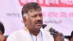 নির্বাচিত সরকারের মাধ্যমেই সংবিধান সংশোধন হওয়া উচিৎ: দুলু