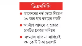 সনদ স্থাপত্যবিদের কাজ নগর পরিকল্পনার