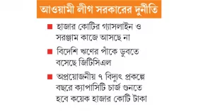 বিদ্যুৎ জ্বালানির বাহবা প্রকল্প