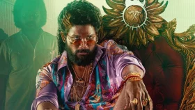 ৭০০ কোটি ছাড়িয়ে &lsquo;পুষ্পা ২&rsquo;, ২৯তম দিনেও বক্স অফিসে দাপট