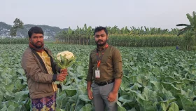হতাশ হয়ে পড়া মেহেরপুরের কৃষকের পাশে &lsquo;স্বপ্ন&rsquo;